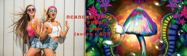 гидра Алзамай