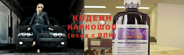 ПСИЛОЦИБИНОВЫЕ ГРИБЫ Алексин