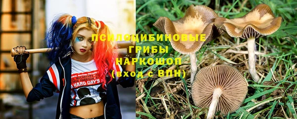 ПСИЛОЦИБИНОВЫЕ ГРИБЫ Алексин