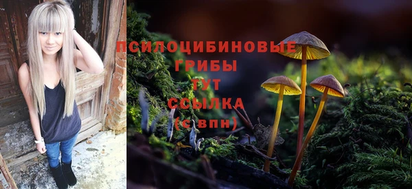 гидра Алзамай
