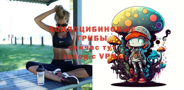ПСИЛОЦИБИНОВЫЕ ГРИБЫ Алексин