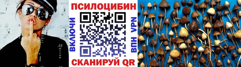 Псилоцибиновые грибы MAGIC MUSHROOMS сколько стоит Юрьев-Польский